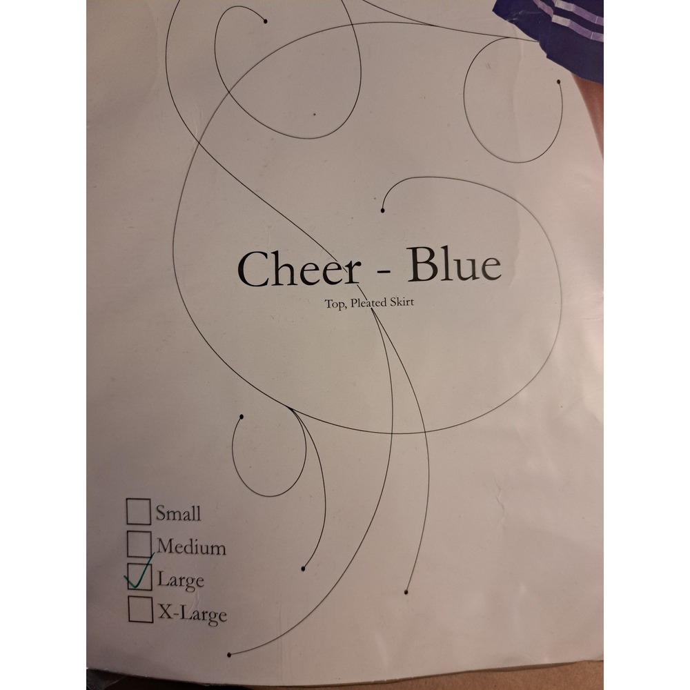Underwraps Cheer Blue Cheerleader Costume Set Top Pleated Skirt Large 29844 - Picture 3 of 6